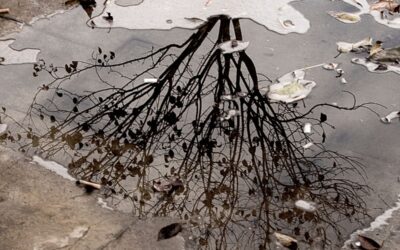 La otra tormenta: El impacto silencioso de los desastres naturales en la salud mental