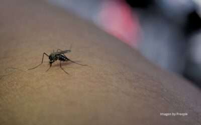 Enfermedad de Chagas y embarazo