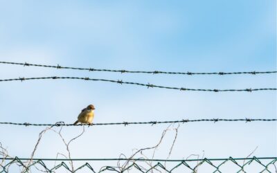 Derechos de los pacientes y salud mental