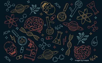 Organismos modificados genéticamente, transgénicos y disruptores endocrinos: Salud personal y ambiental