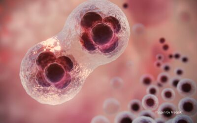 Fertilidad y salud. Lo que toda persona debería conocer