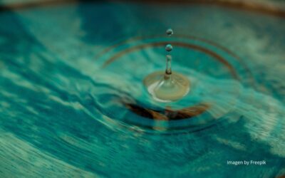 La calidad del agua y la salud