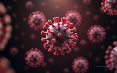 Calidad de vida tras un herpes zoster: ¿El dolor es para siempre? ¿Se puede prevenir?