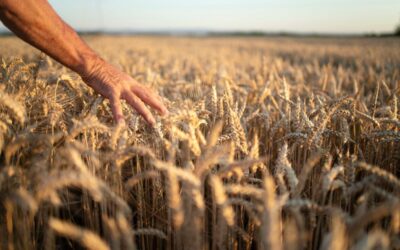 Agroquímicos sintéticos: Una amenaza para la salud
