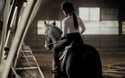 El caballo como compañero terapéutico: Una experiencia profesional y vital