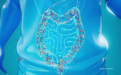 Un día en la vida de tu colon. Lo que tu intestino quiere contarte