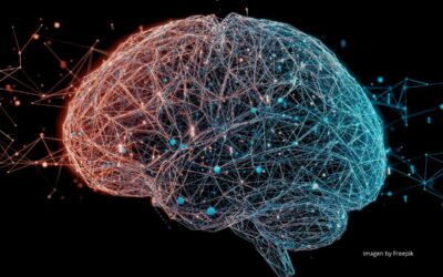 El cerebro en los niños. Comprender un órgano en desarrollo para cuidar el futuro