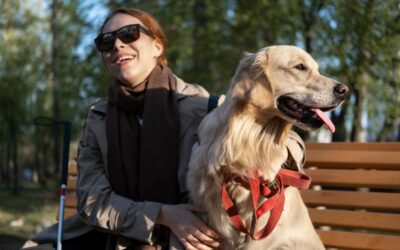 Perros guía: caminar juntos hacia la autonomía