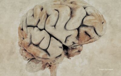 Más allá del intestino. La ataxia por gluten y su impacto en el sistema nervioso