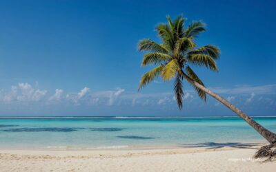 Viajar protegidos. La importancia de la vacunación en vacaciones